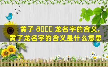 黄子 🐛 龙名字的含义,黄子龙名字的含义是什么意思